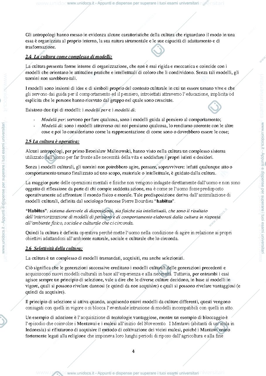 Anteprima pagina 4 — RIASSUNTO "ELEMENTI DI ANTROPOLOGIA CULTURALE"