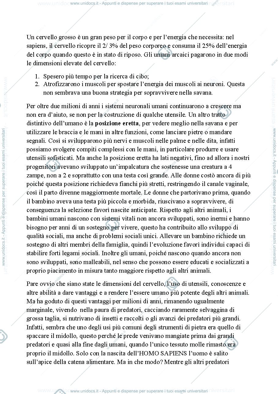 Anteprima pagina 3 — Riassunto: yuval Noah harari. da animali a dei