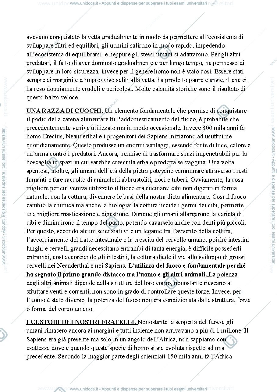 Anteprima pagina 4 — Riassunto: yuval Noah harari. da animali a dei