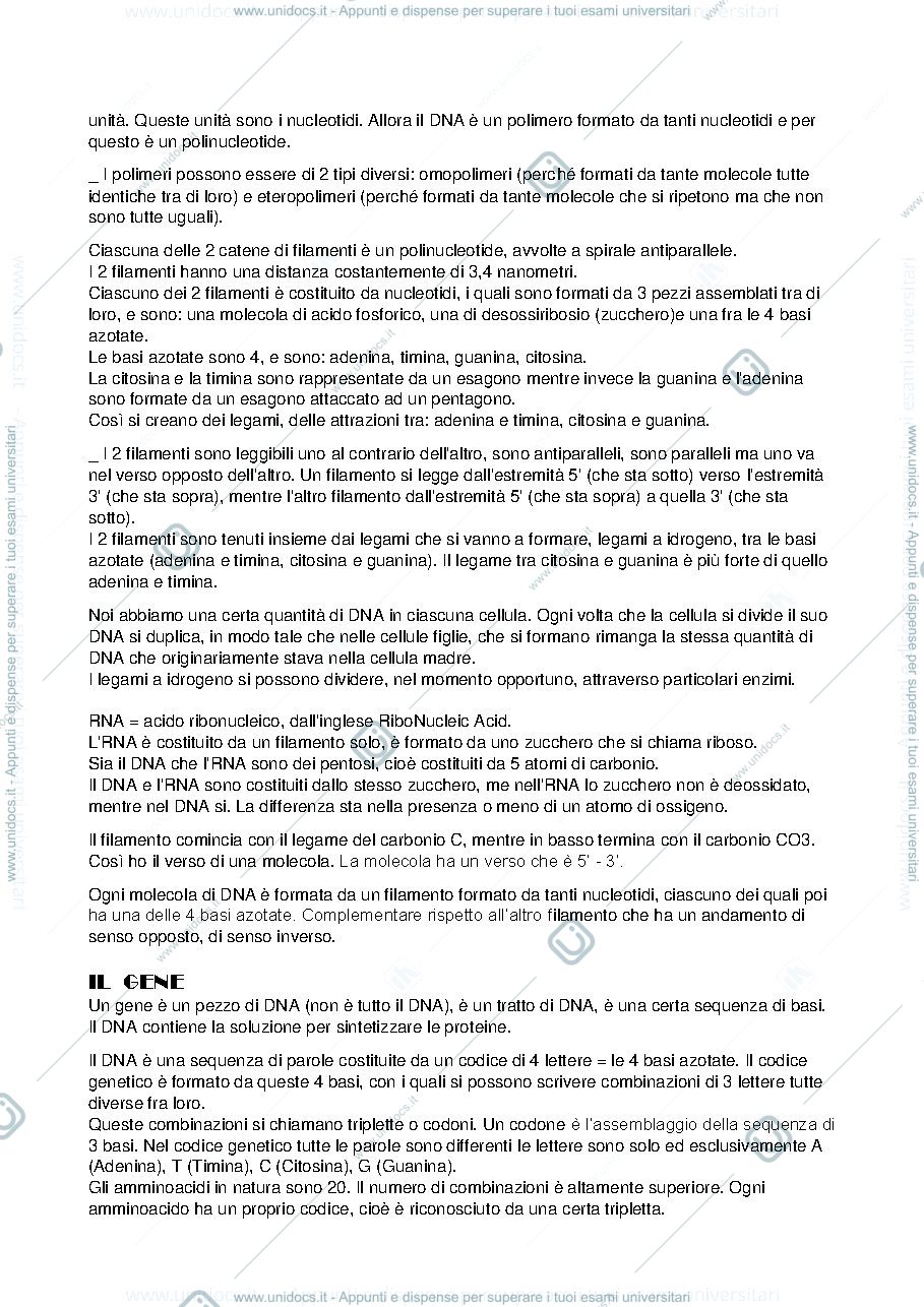 Anteprima pagina 3 — appunti delle lezioni di antropologia fisica