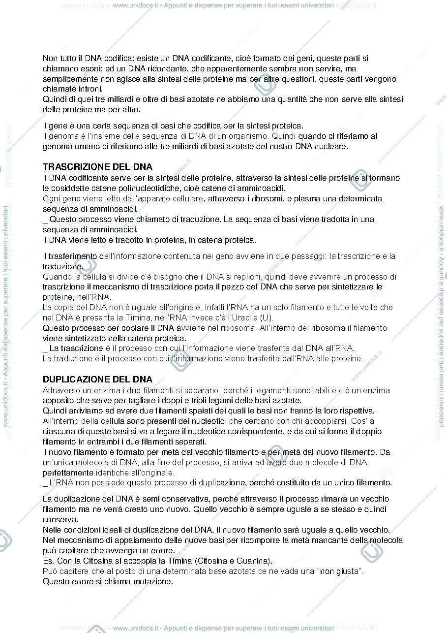Anteprima pagina 4 — appunti delle lezioni di antropologia fisica