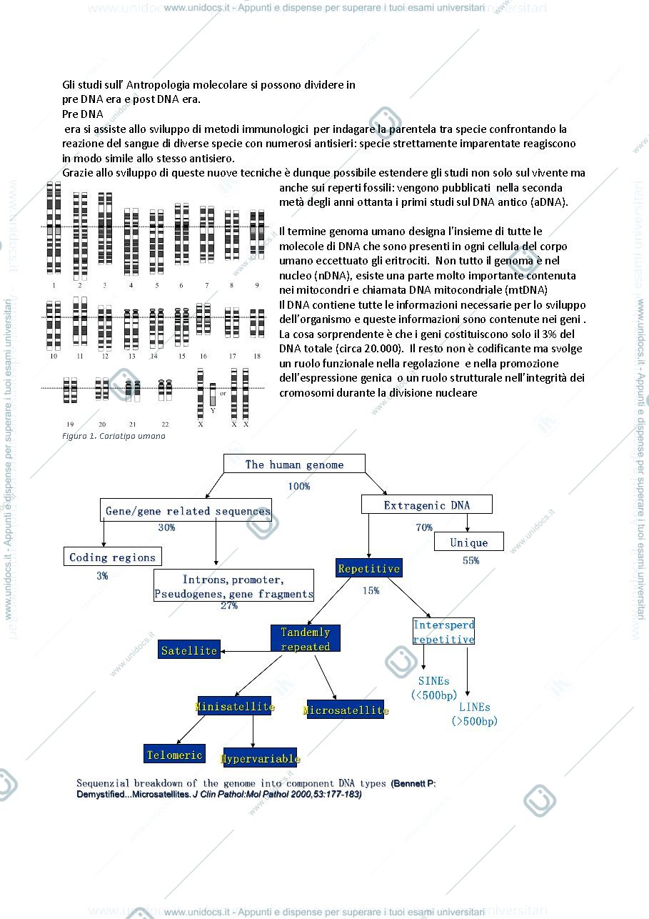 Anteprima pagina 1 — Appunti di Antropologia 2020/2021
