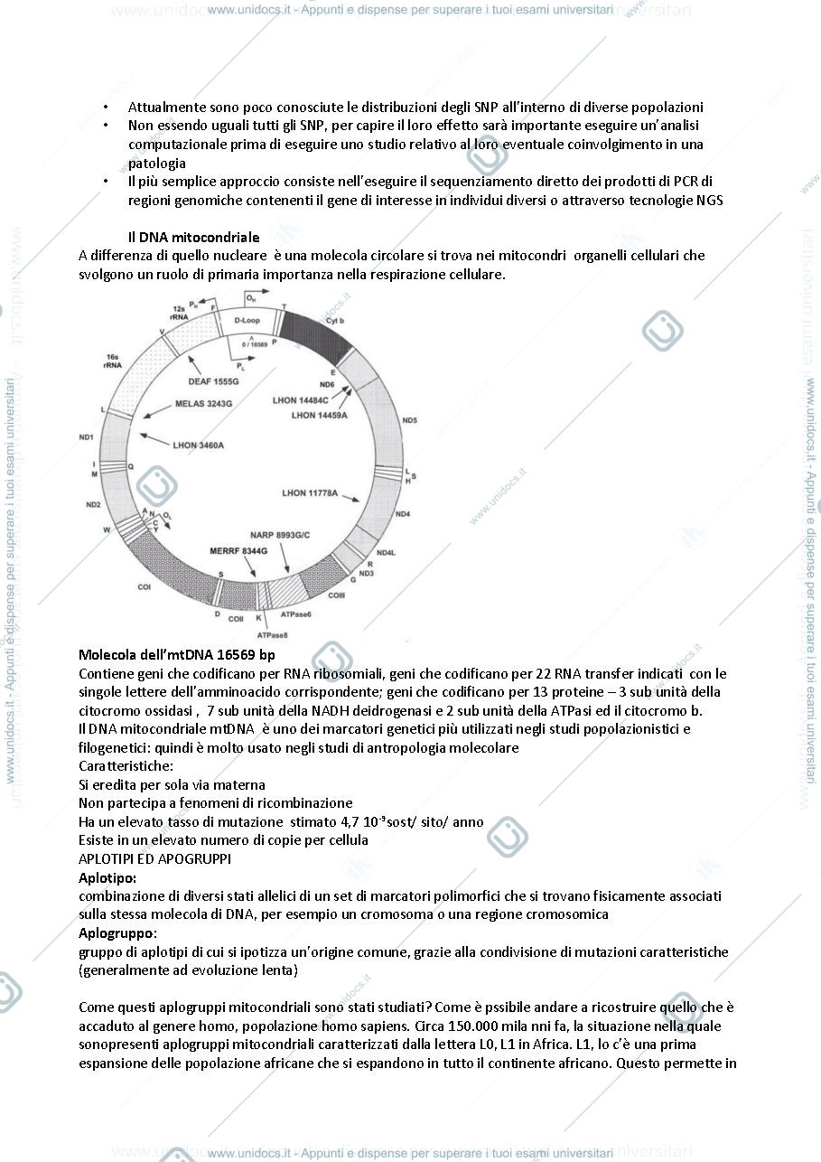 Anteprima pagina 4 — Appunti di Antropologia 2020/2021
