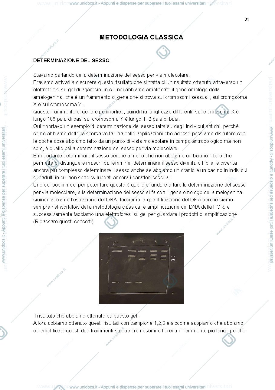 Anteprima pagina 1 — Appunti corso Antropologia 
