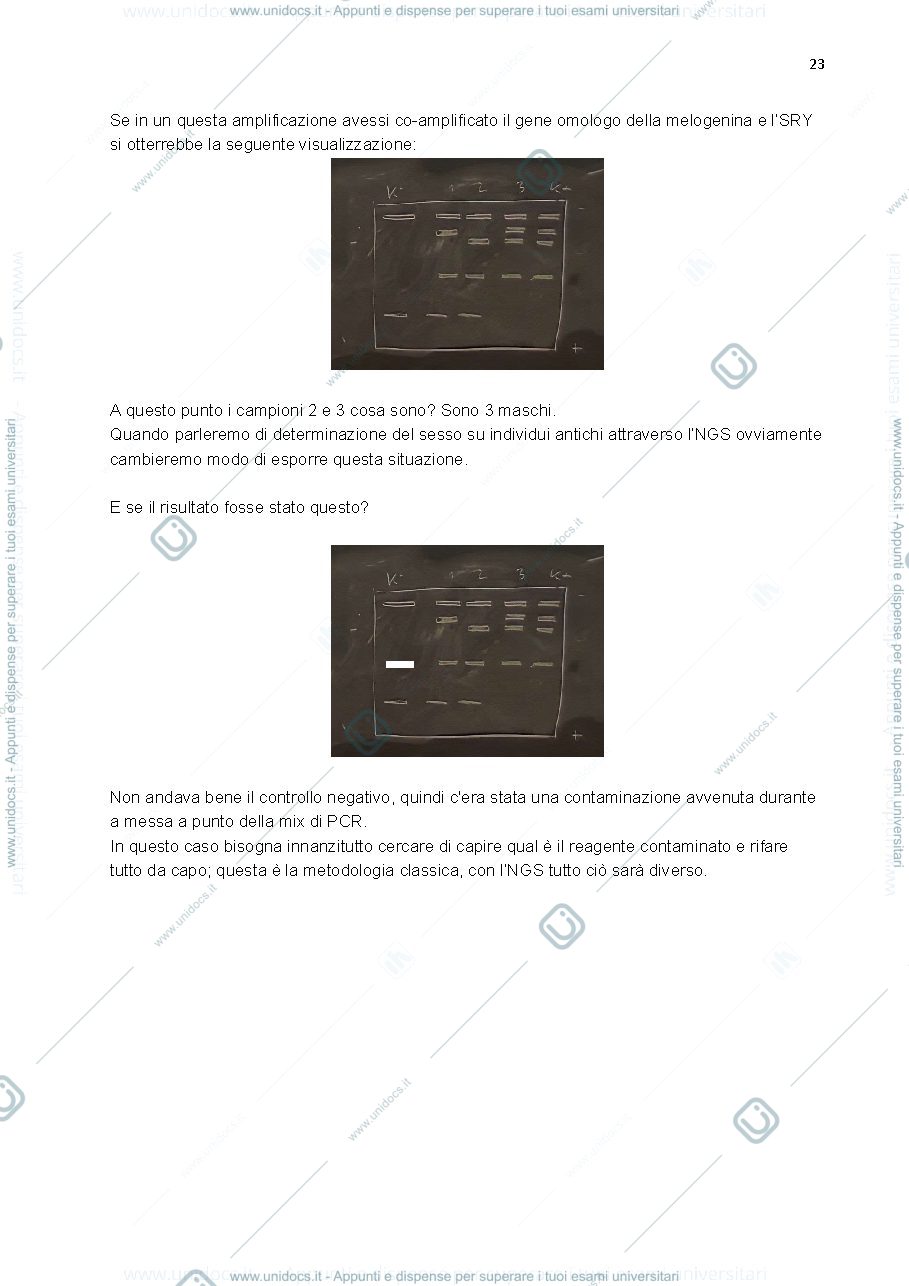 Anteprima pagina 3 — Appunti corso Antropologia 