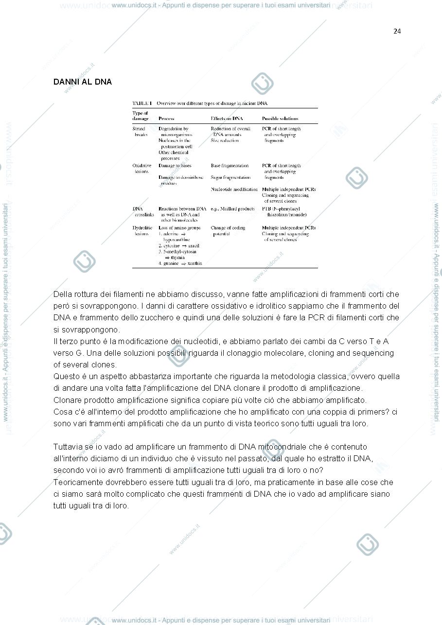 Anteprima pagina 4 — Appunti corso Antropologia 