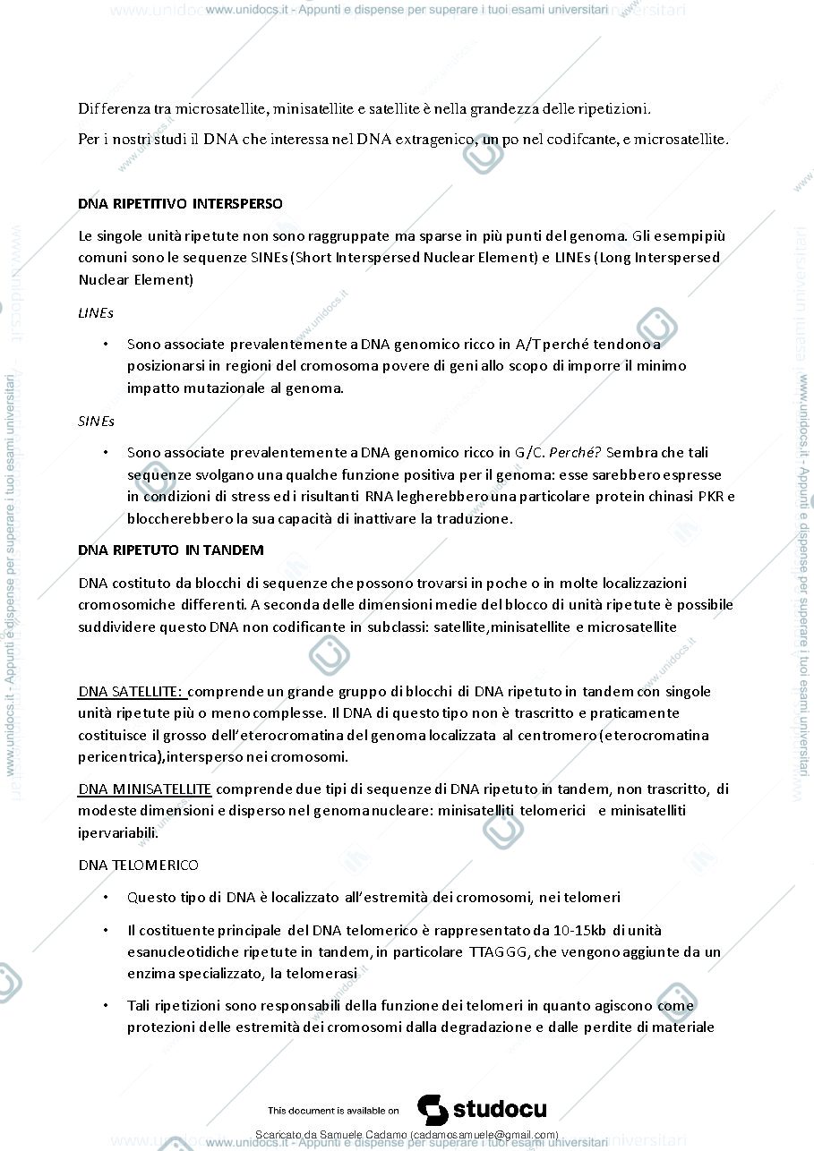 Anteprima pagina 4 — Antropologia 