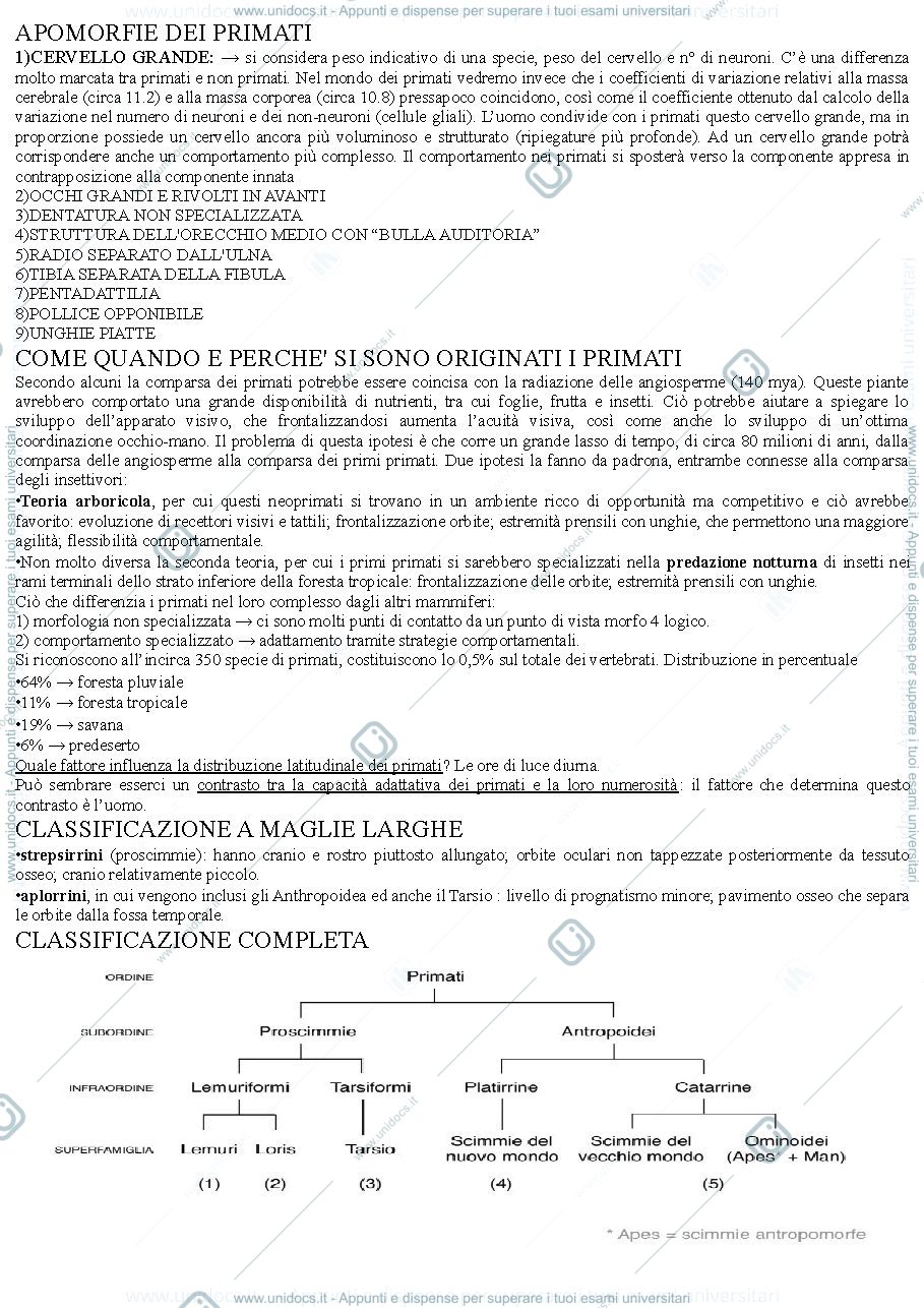 Anteprima pagina 3 — ANTROPOLOGIA