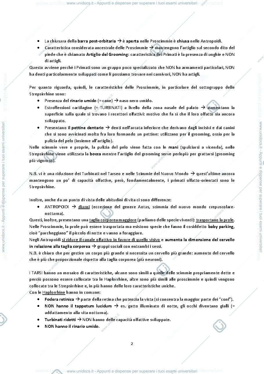 Anteprima pagina 2 — Appunti di antropologia 