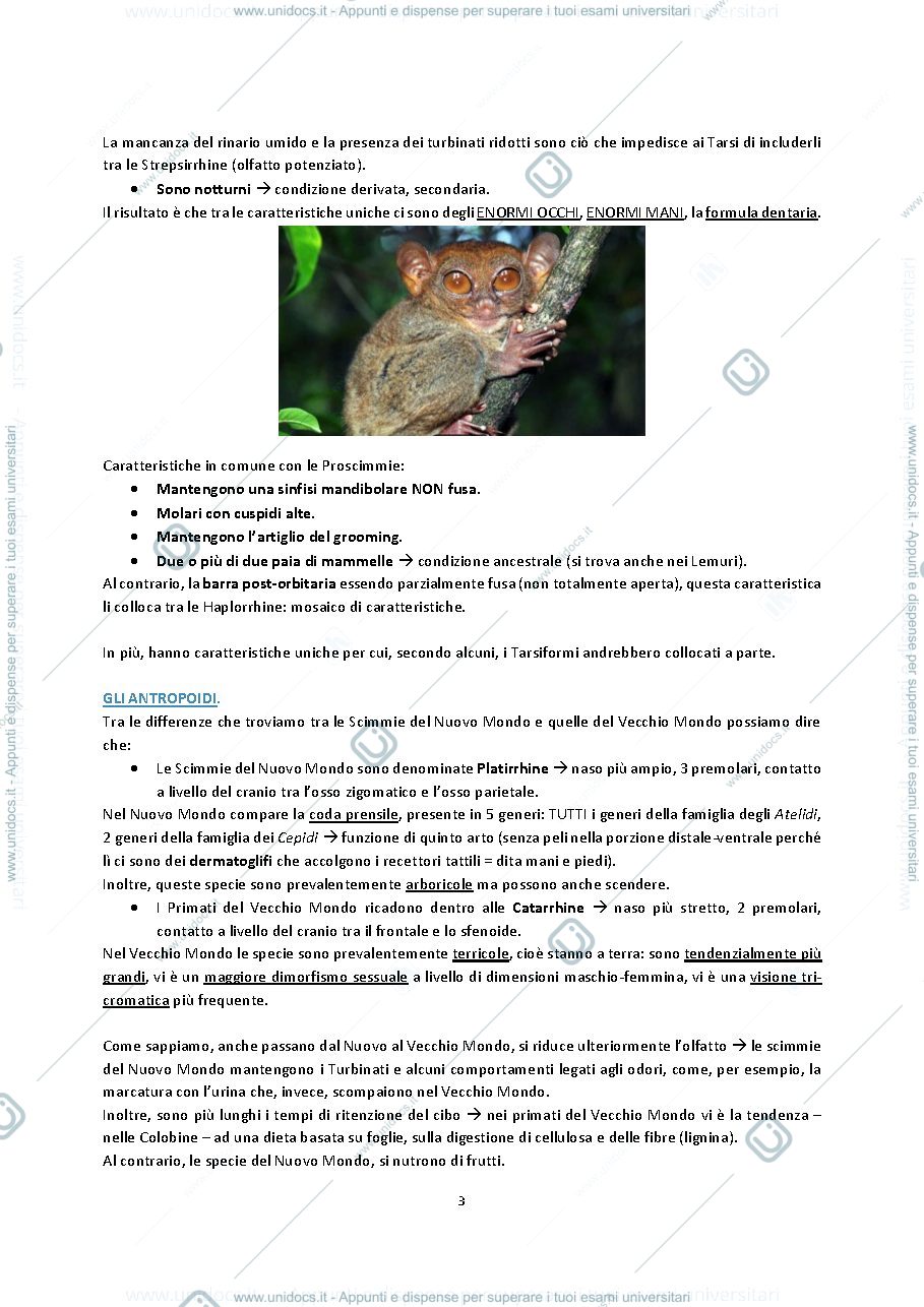 Anteprima pagina 3 — Appunti di antropologia 