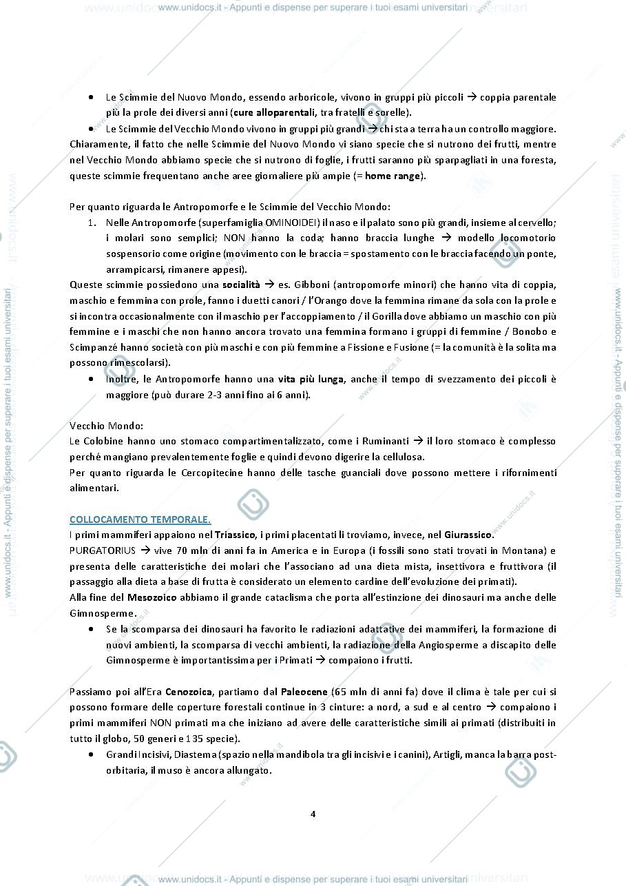 Anteprima pagina 4 — Appunti di antropologia 