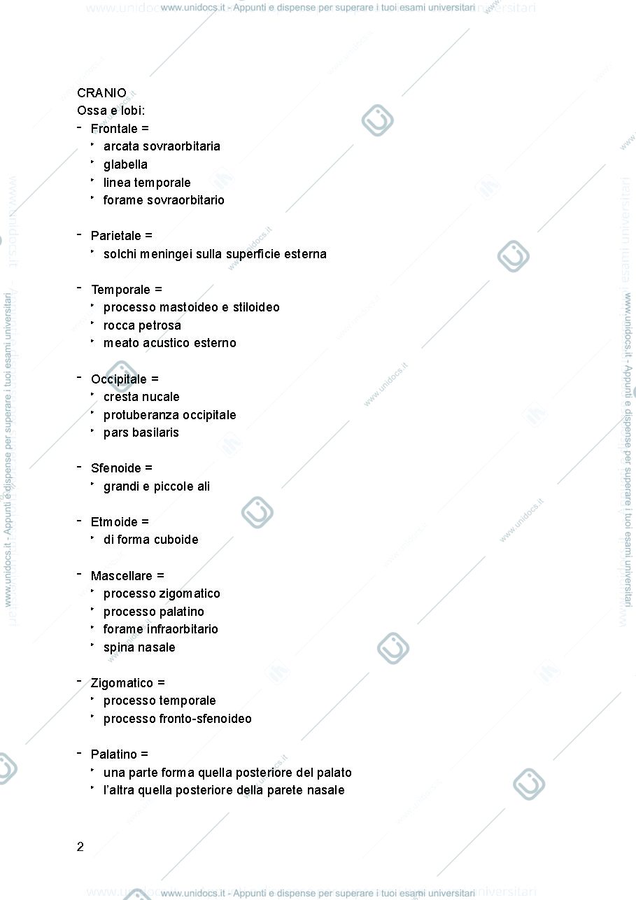 Anteprima pagina 2 — Antropologia