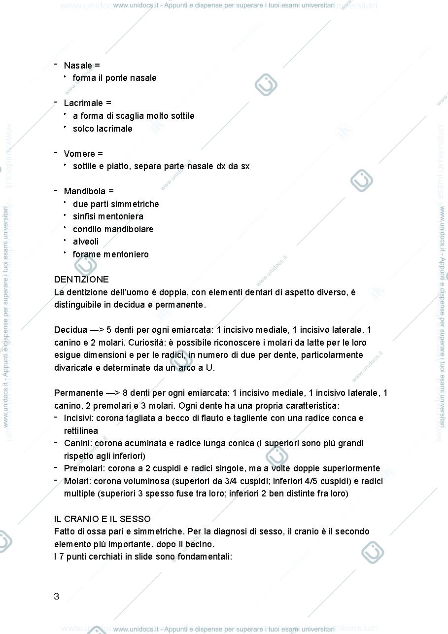 Anteprima pagina 3 — Antropologia