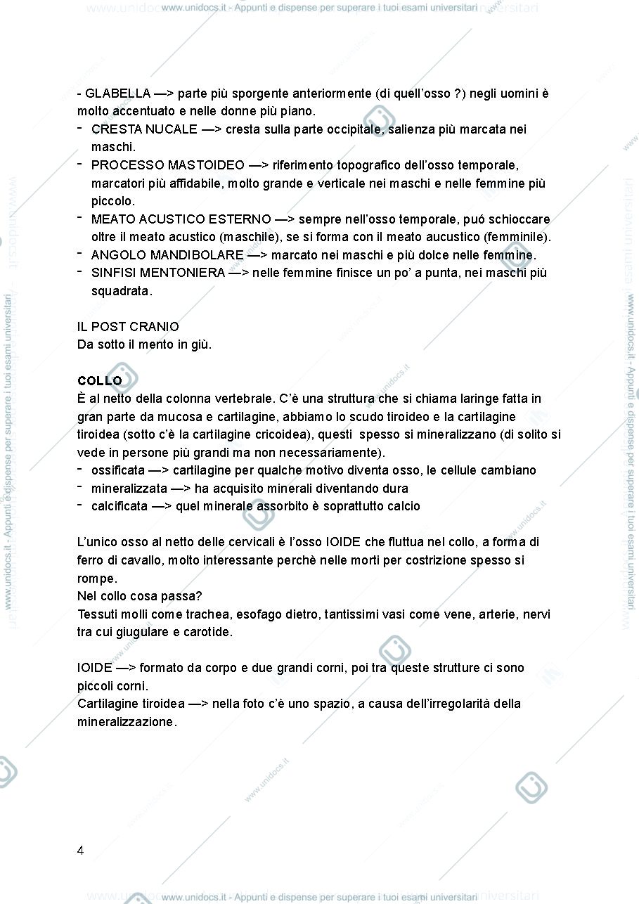 Anteprima pagina 4 — Antropologia
