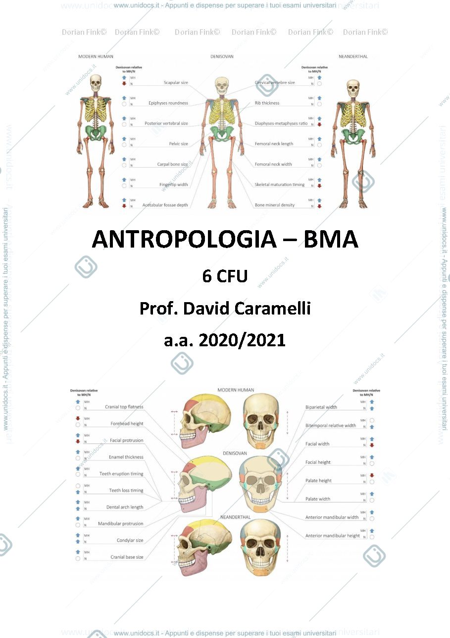Anteprima pagina 1 — Appunti di anteopologia