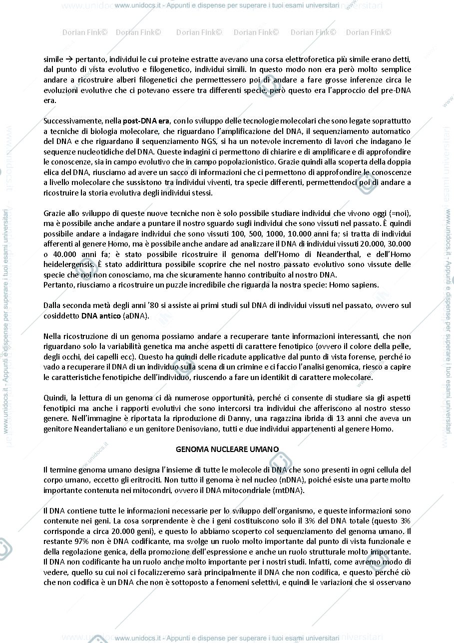 Anteprima pagina 4 — Appunti di anteopologia