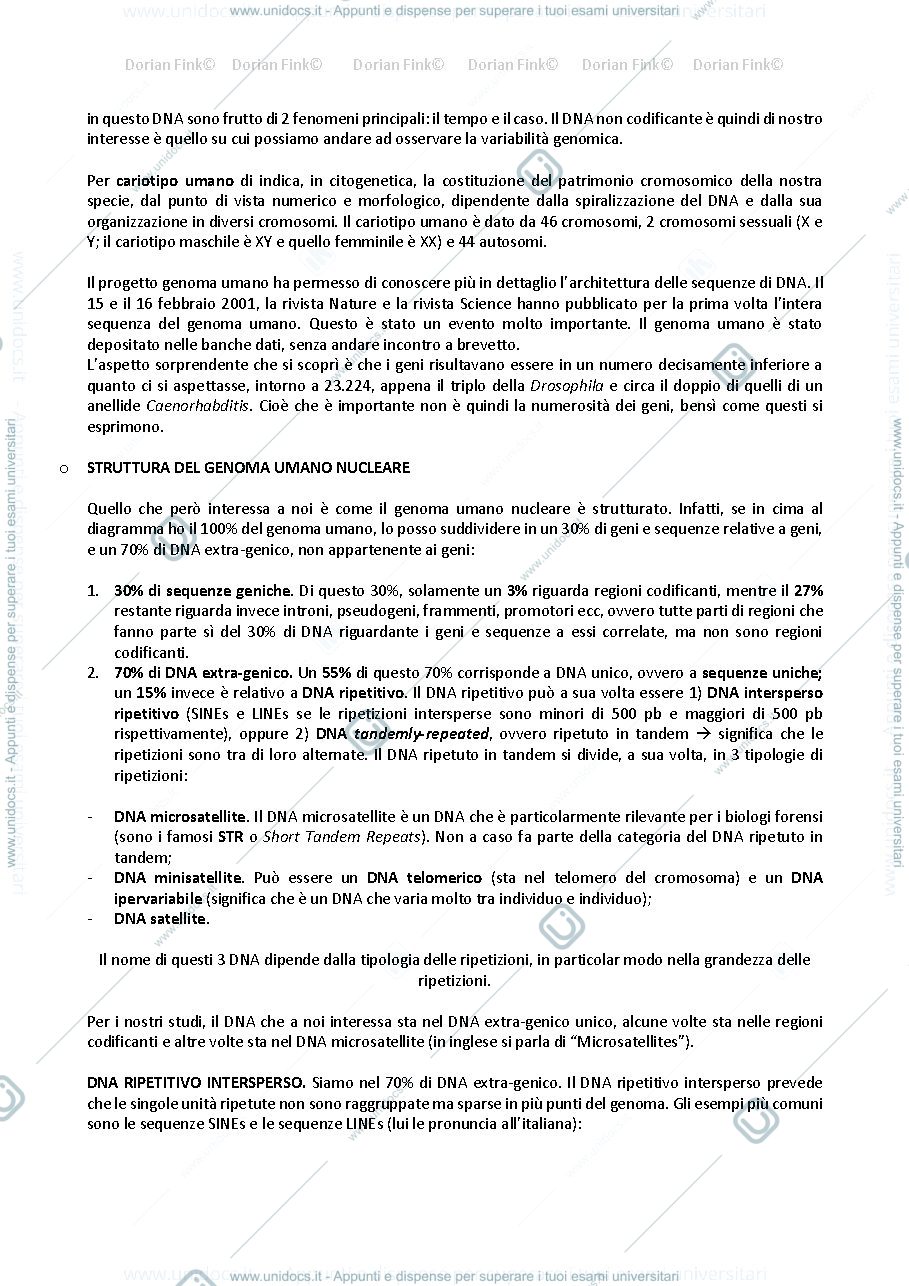 Anteprima pagina 5 — Appunti di anteopologia