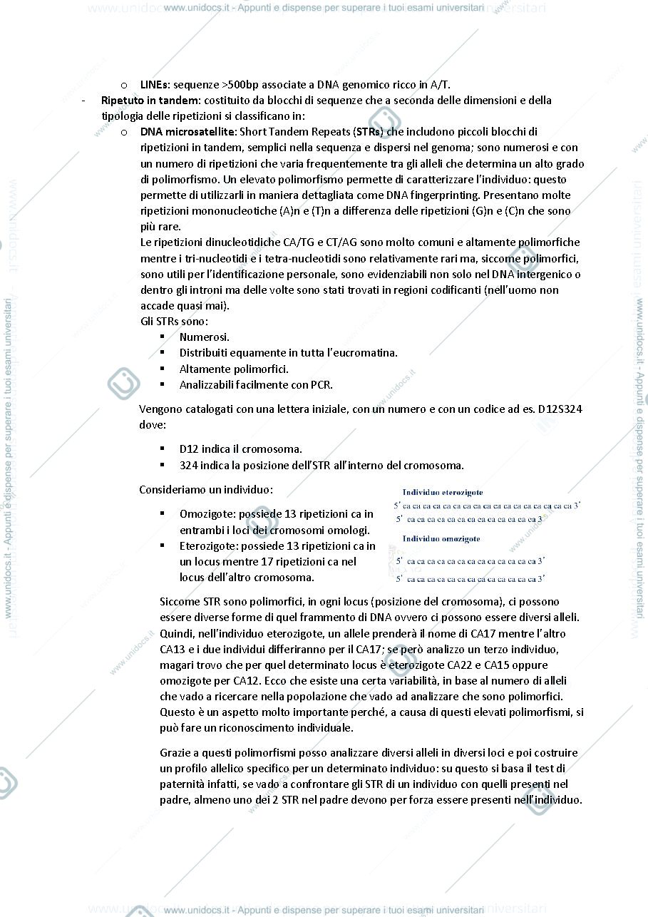 Anteprima pagina 2 — ANTROPOLOGIA 20/21