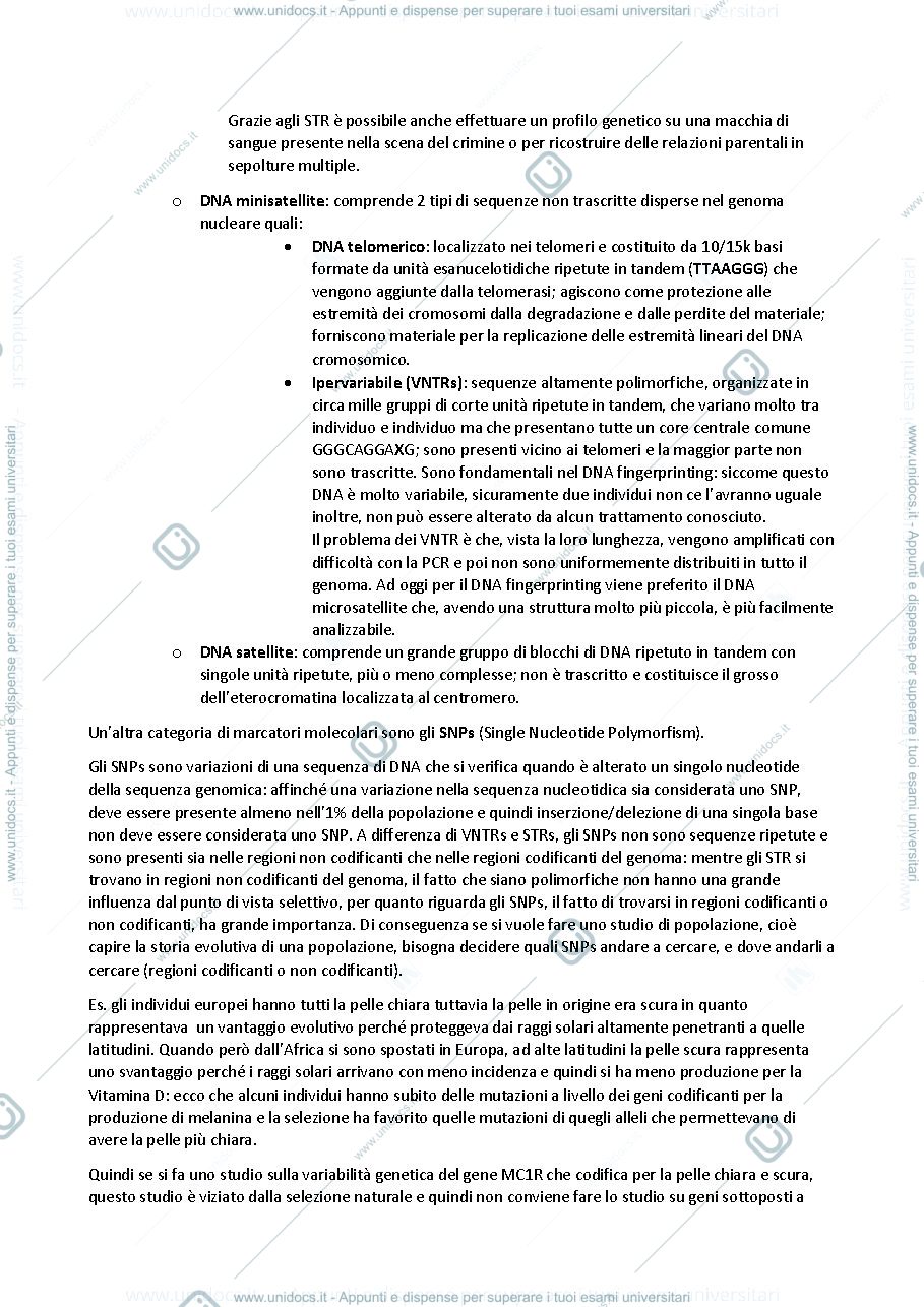 Anteprima pagina 3 — ANTROPOLOGIA 20/21