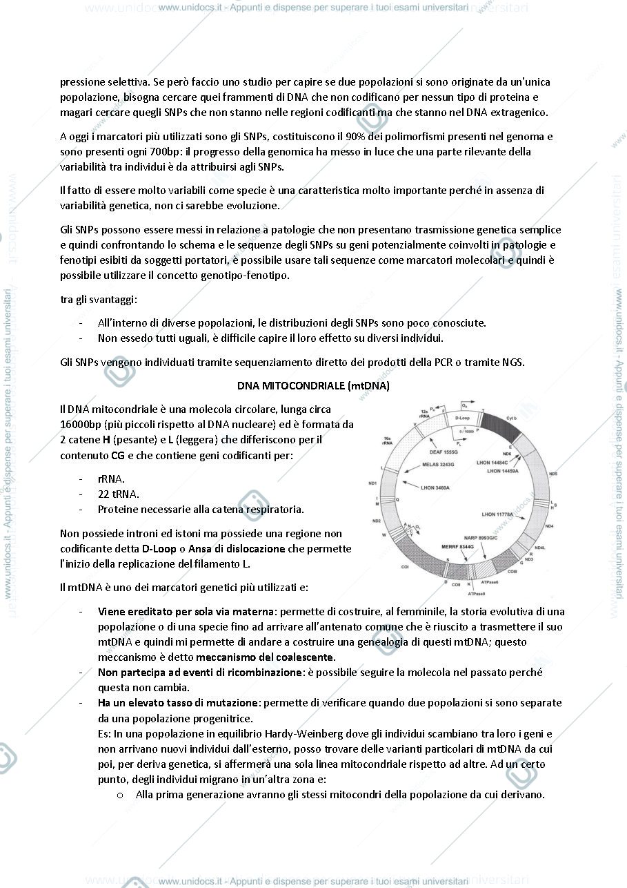 Anteprima pagina 4 — ANTROPOLOGIA 20/21