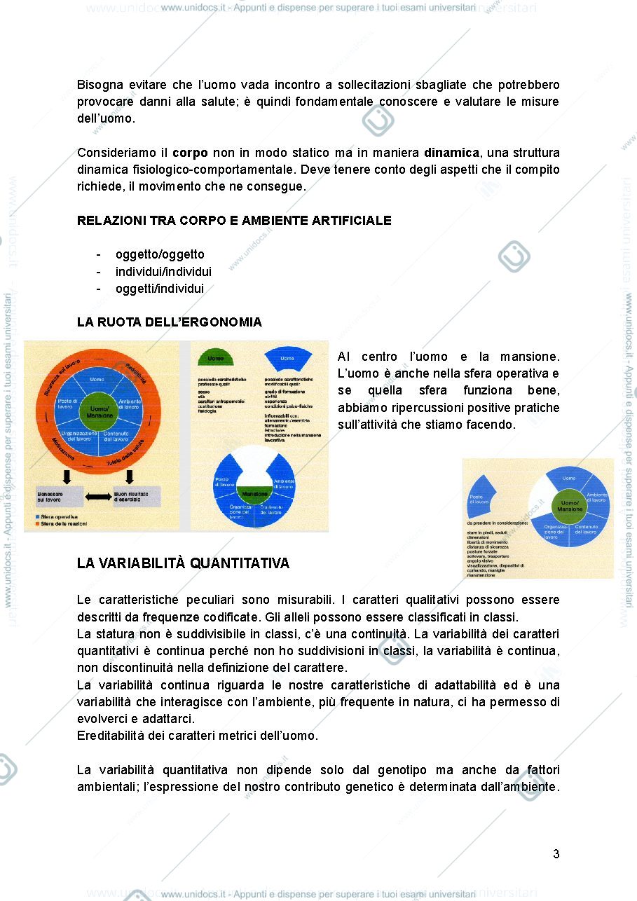 Anteprima pagina 3 — Antropometria