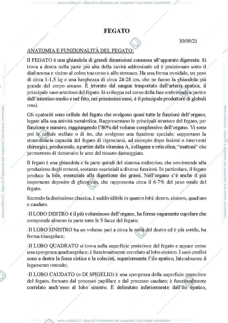 Anteprima pagina 3 — Sbobine