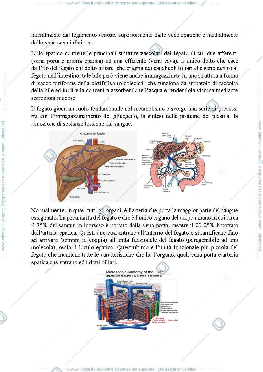 Anteprima pagina 4 — Sbobine