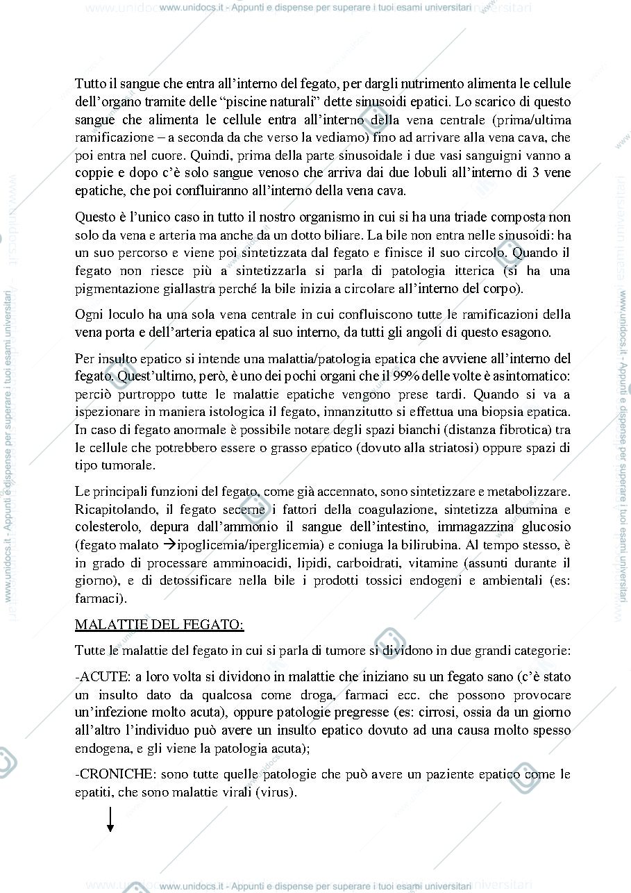 Anteprima pagina 5 — Sbobine