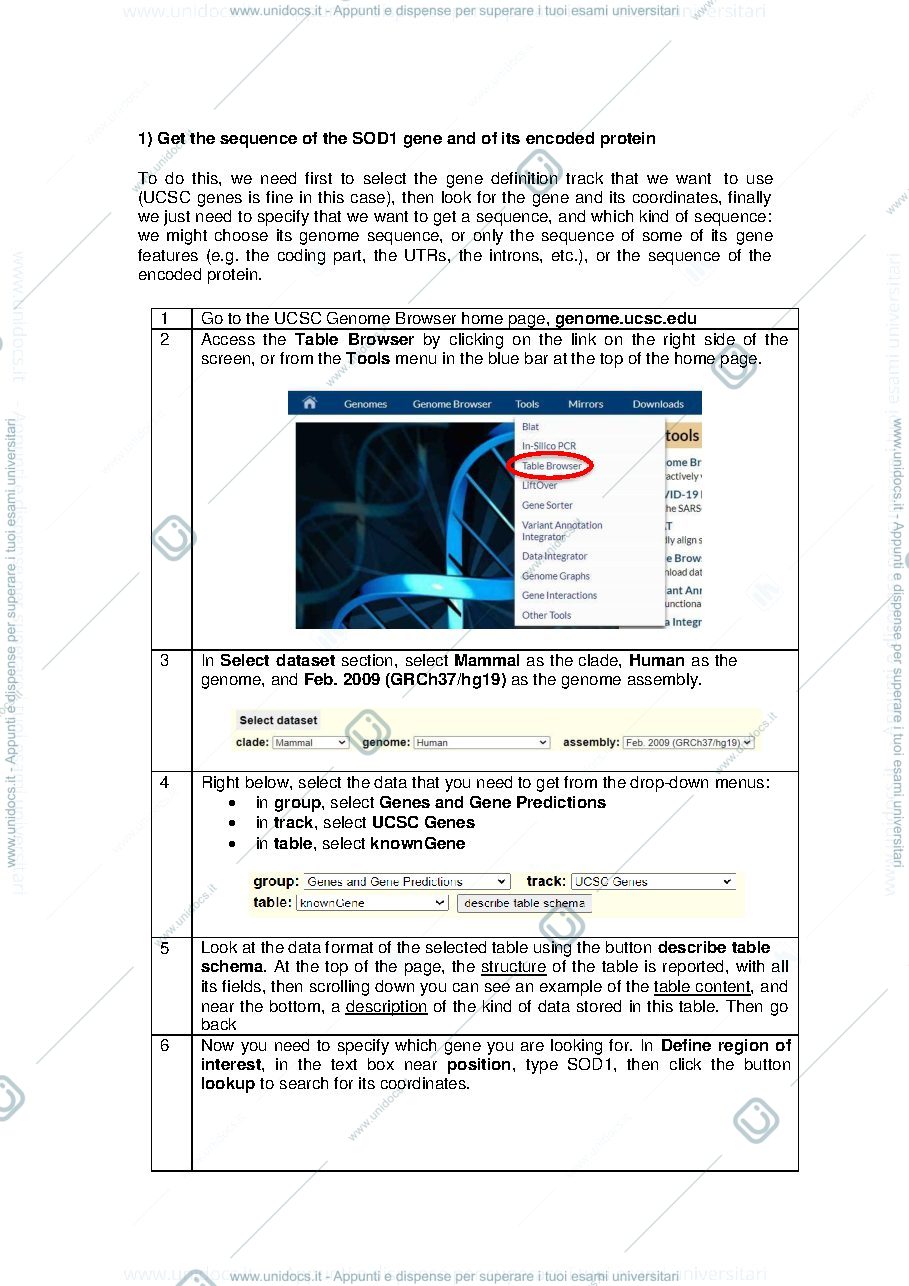 Anteprima pagina 2 — lab 5