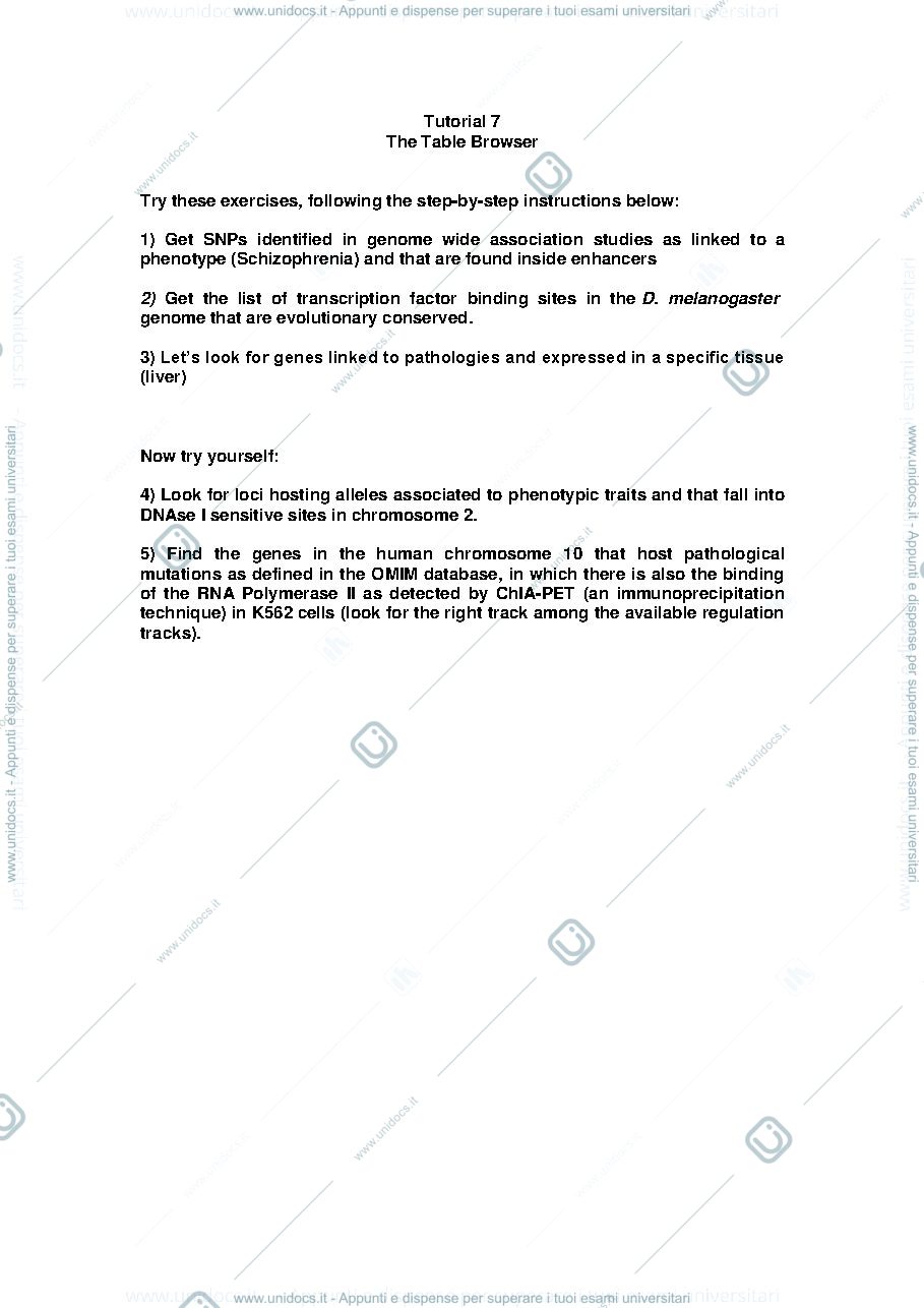 Anteprima pagina 1 — lab 6