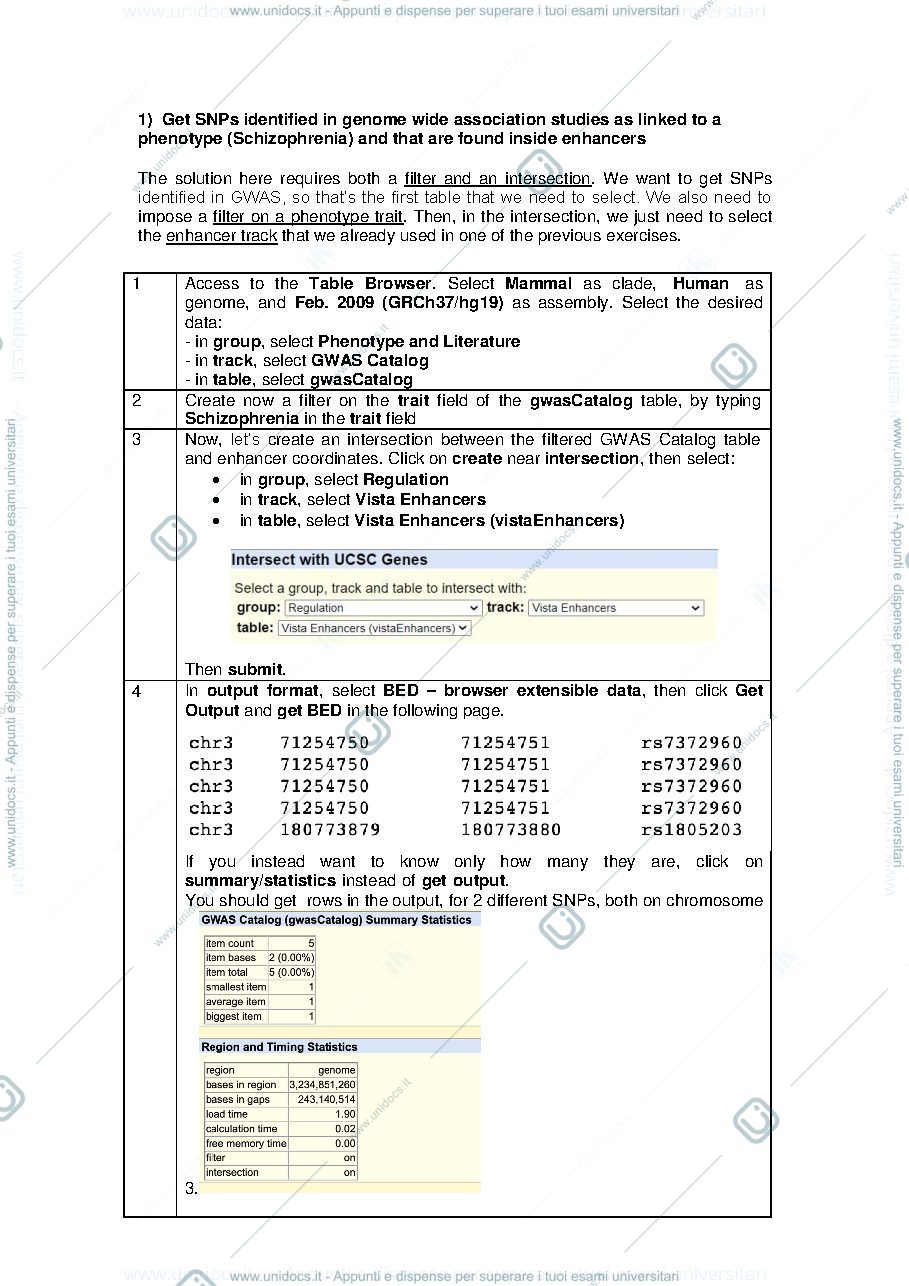 Anteprima pagina 2 — lab 6