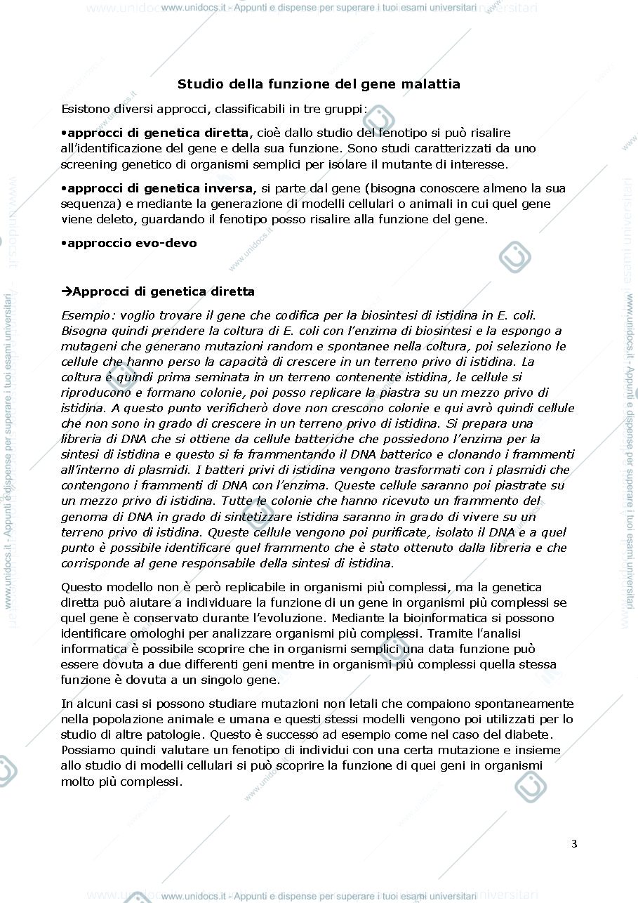 Anteprima pagina 3 — APPUNTI APPROCCI 