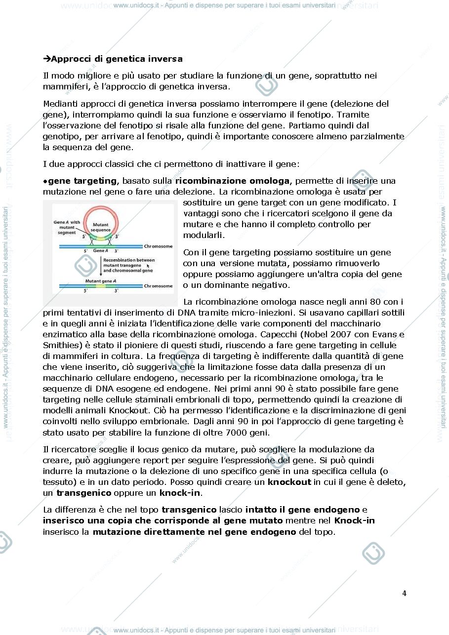 Anteprima pagina 4 — APPUNTI APPROCCI 