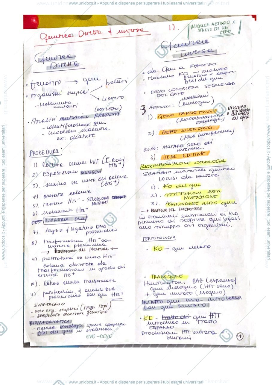 Anteprima pagina 1 — Domande e risposte più frequenti 