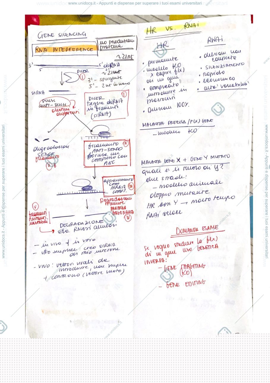 Anteprima pagina 3 — Domande e risposte più frequenti 