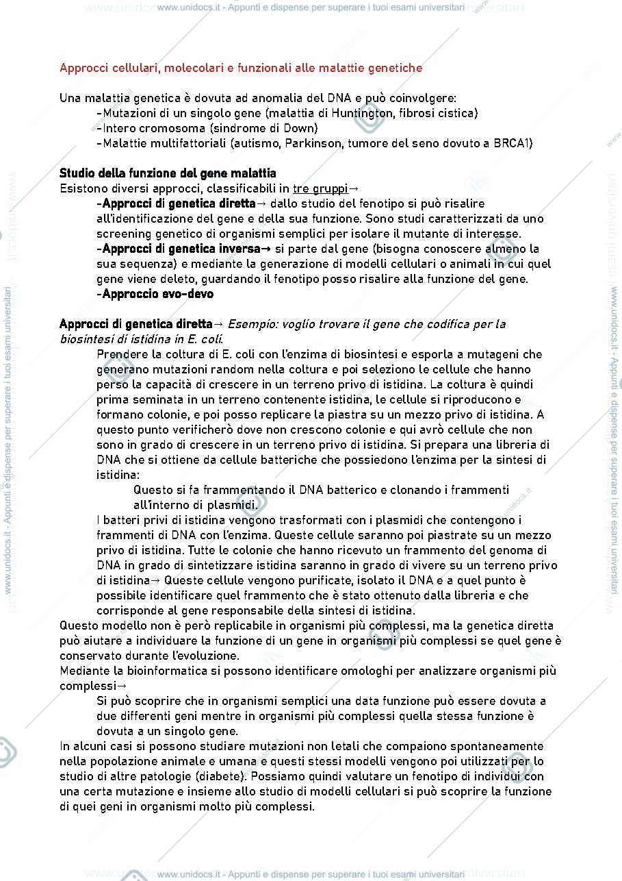 Anteprima pagina 1 — Approcci cellulari, molecolari e funzionali alle malattie genetiche