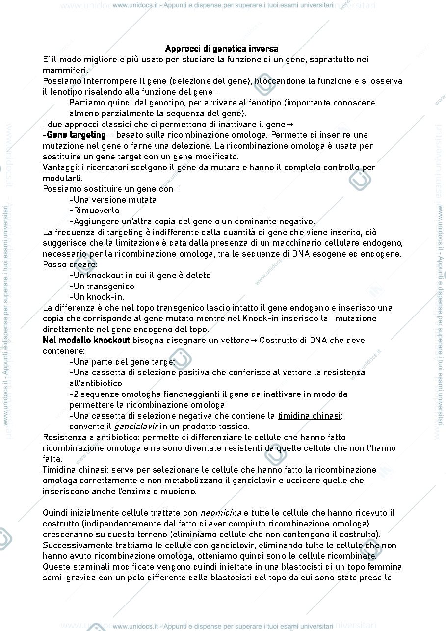 Anteprima pagina 2 — Approcci cellulari, molecolari e funzionali alle malattie genetiche