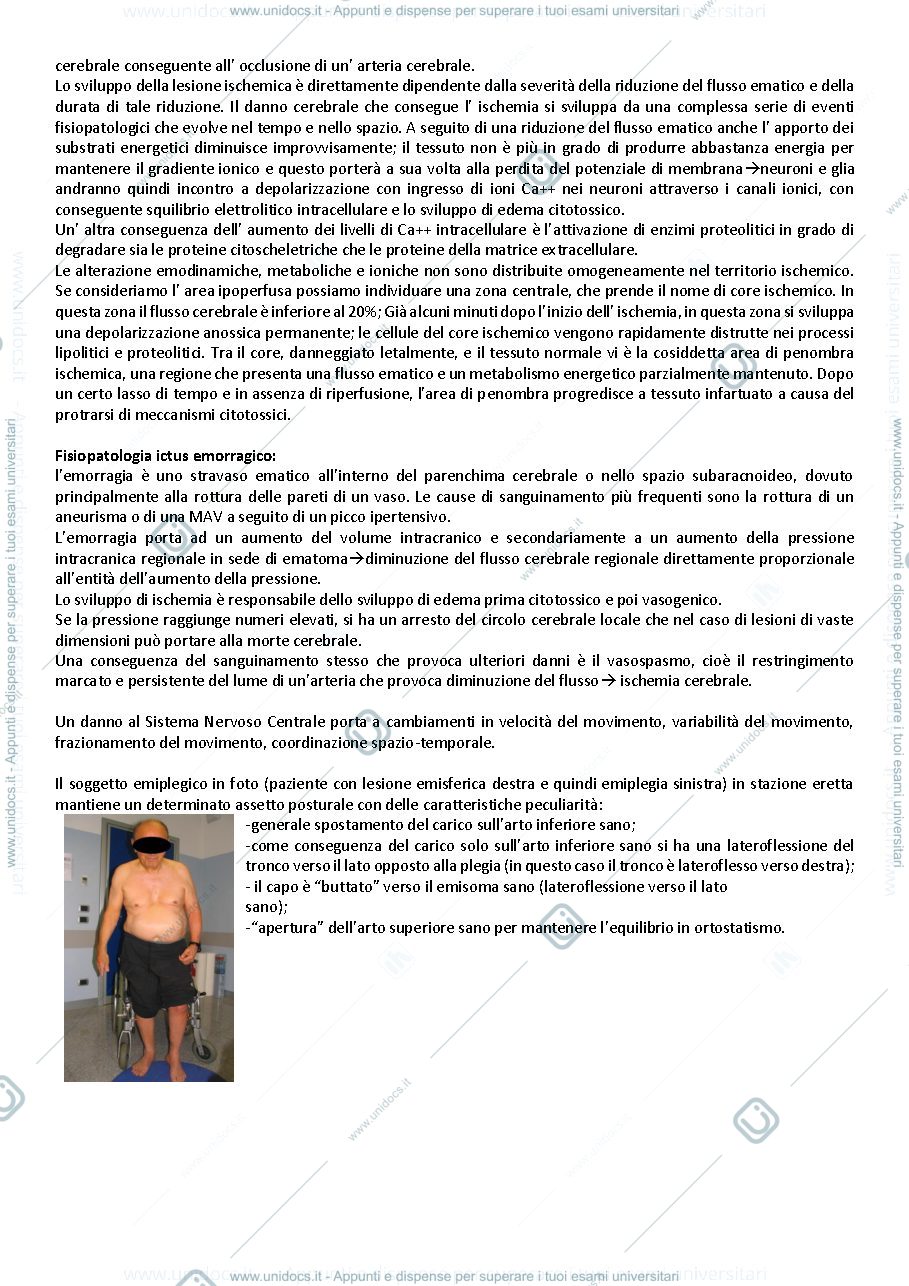 Anteprima pagina 2 — approccio lesioni SN- Bazzan