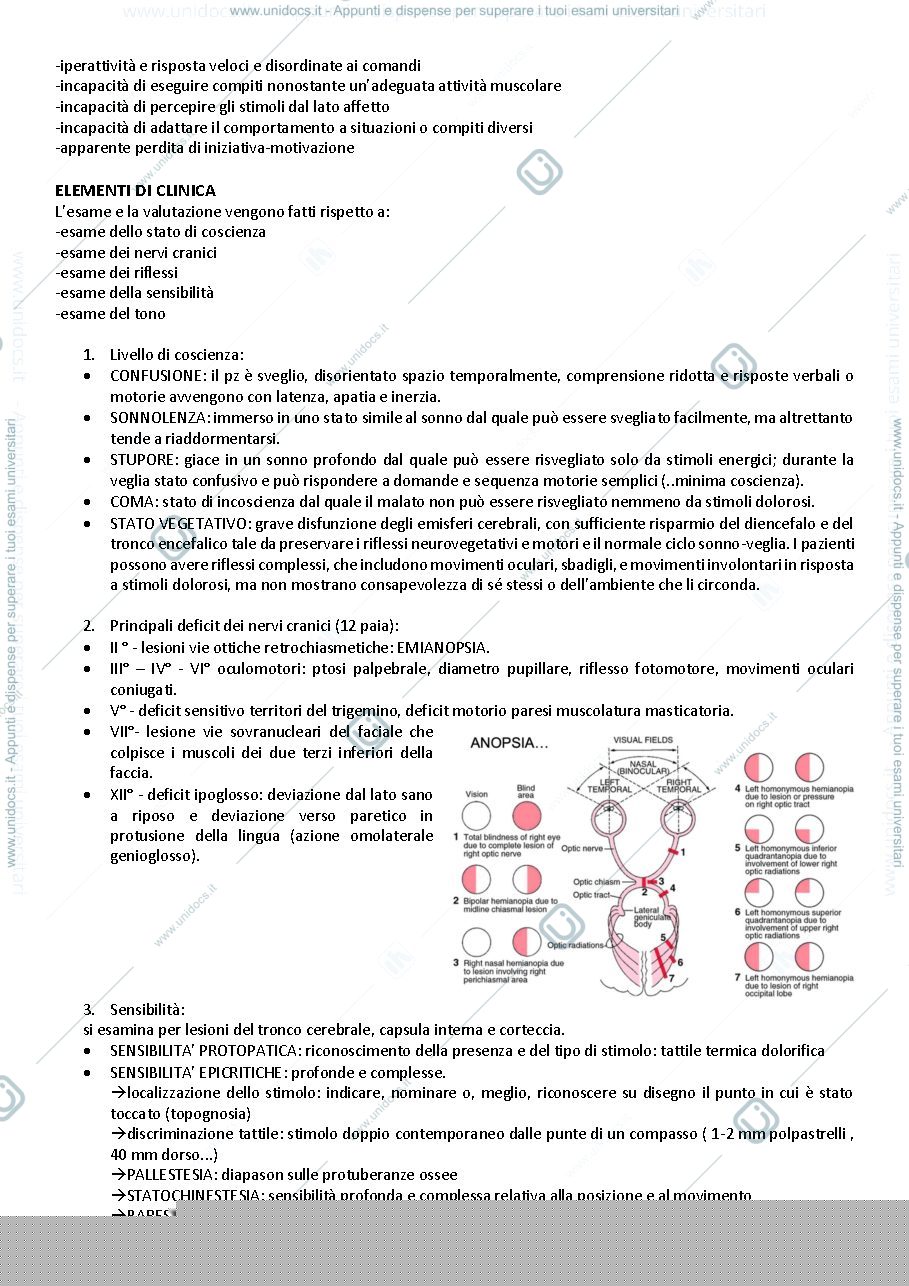 Anteprima pagina 4 — approccio lesioni SN- Bazzan