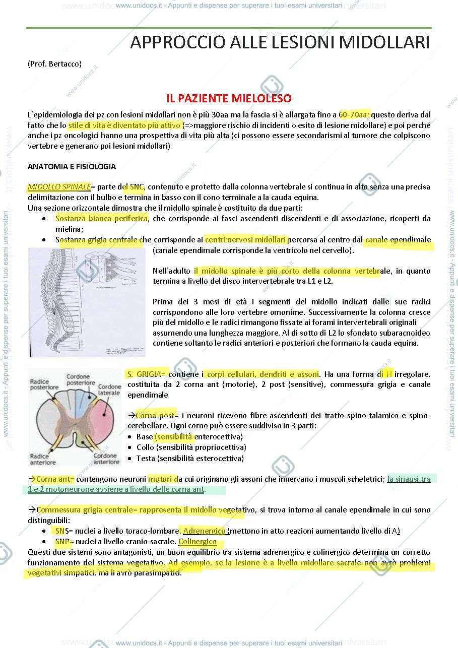 Anteprima pagina 1 — lesioni midollari