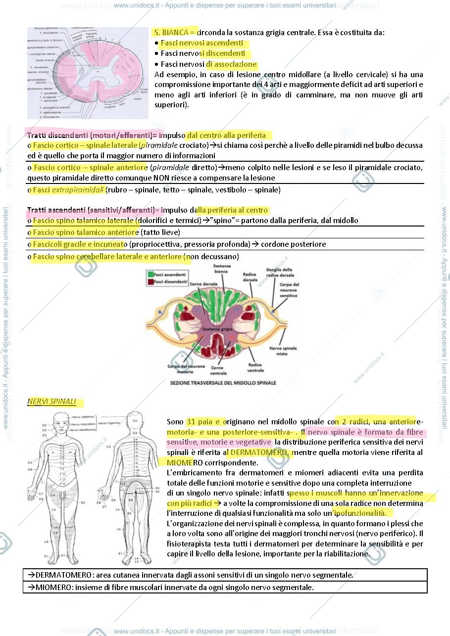Anteprima pagina 2 — lesioni midollari