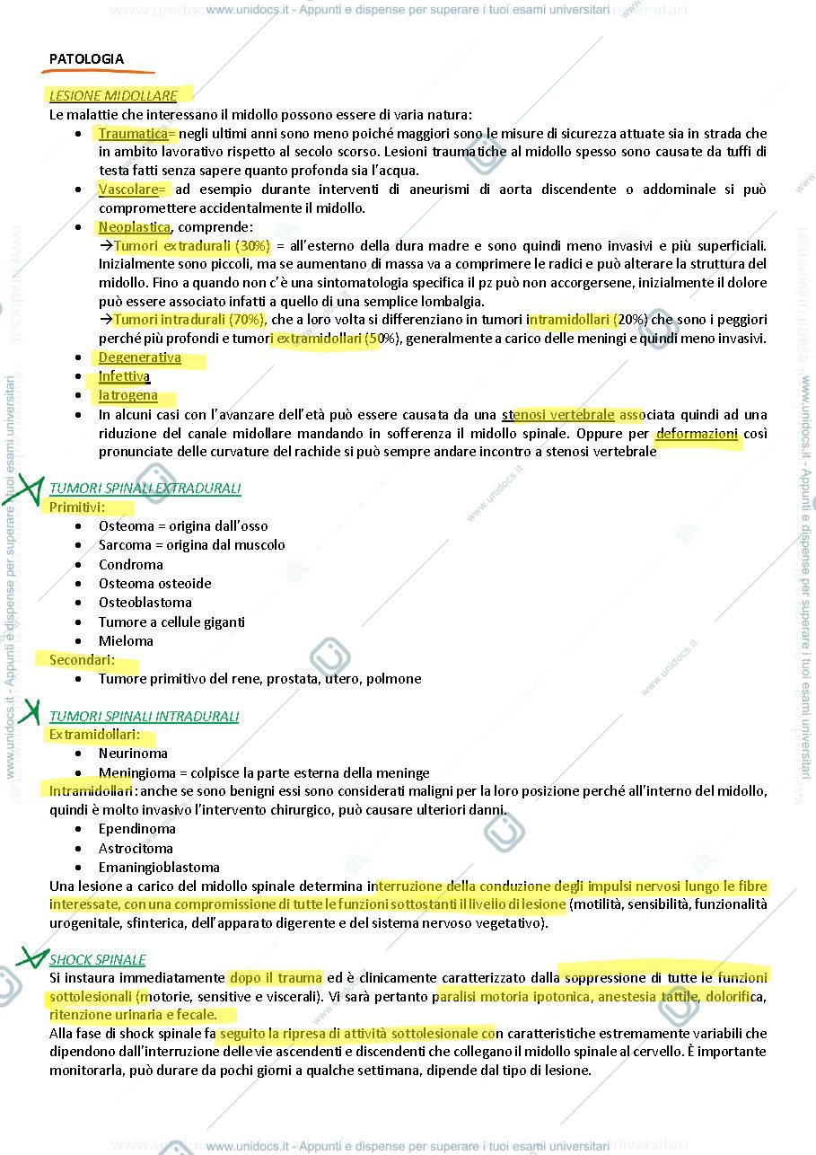 Anteprima pagina 3 — lesioni midollari