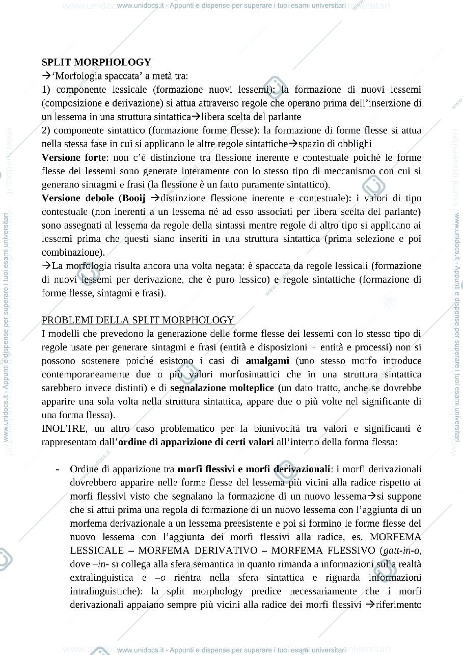 Anteprima pagina 1 — split morphology