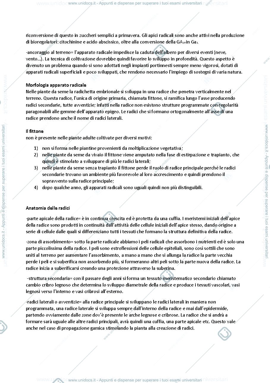 Anteprima pagina 2 — arbo