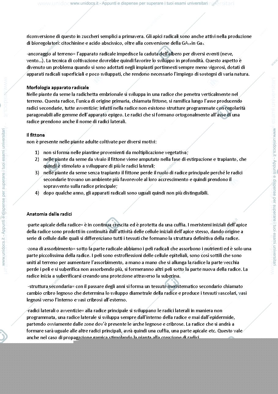 Anteprima pagina 2 — ARBORICOLTURA