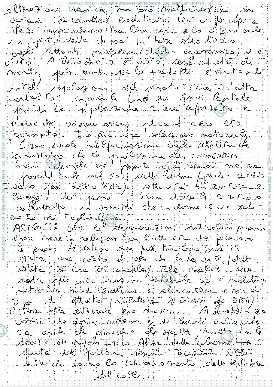 Anteprima pagina 2 — AP