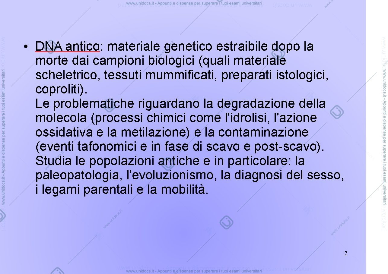 Anteprima pagina 2 — Indicatori archeologici sulla presenza dei Longobardi