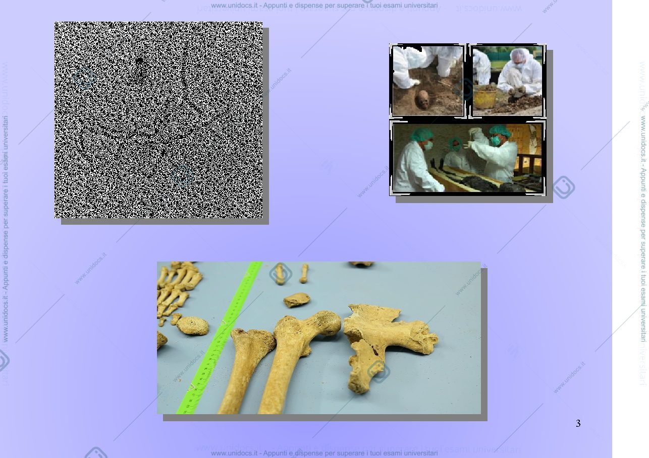 Anteprima pagina 3 — Indicatori archeologici sulla presenza dei Longobardi