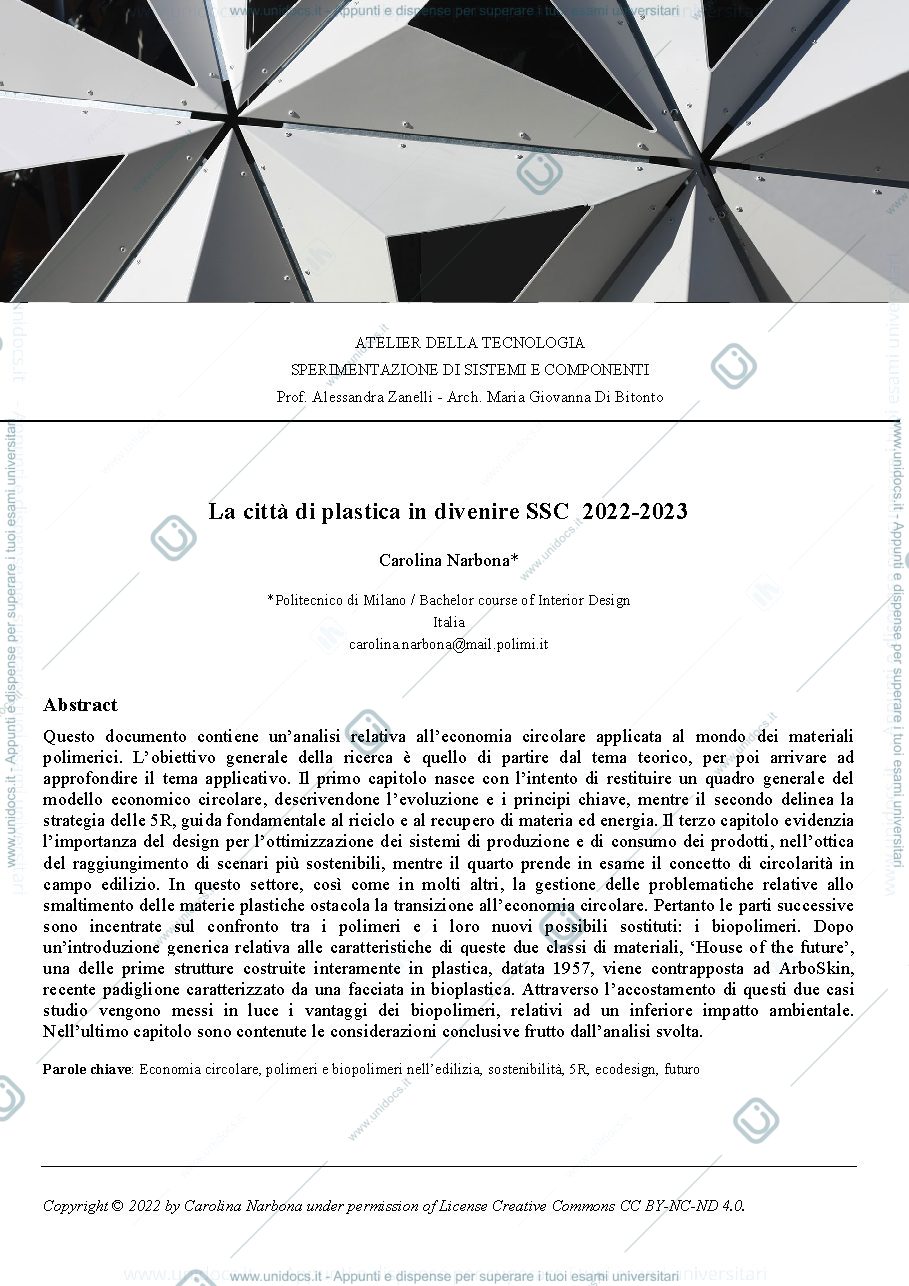 Anteprima pagina 1 — tesina