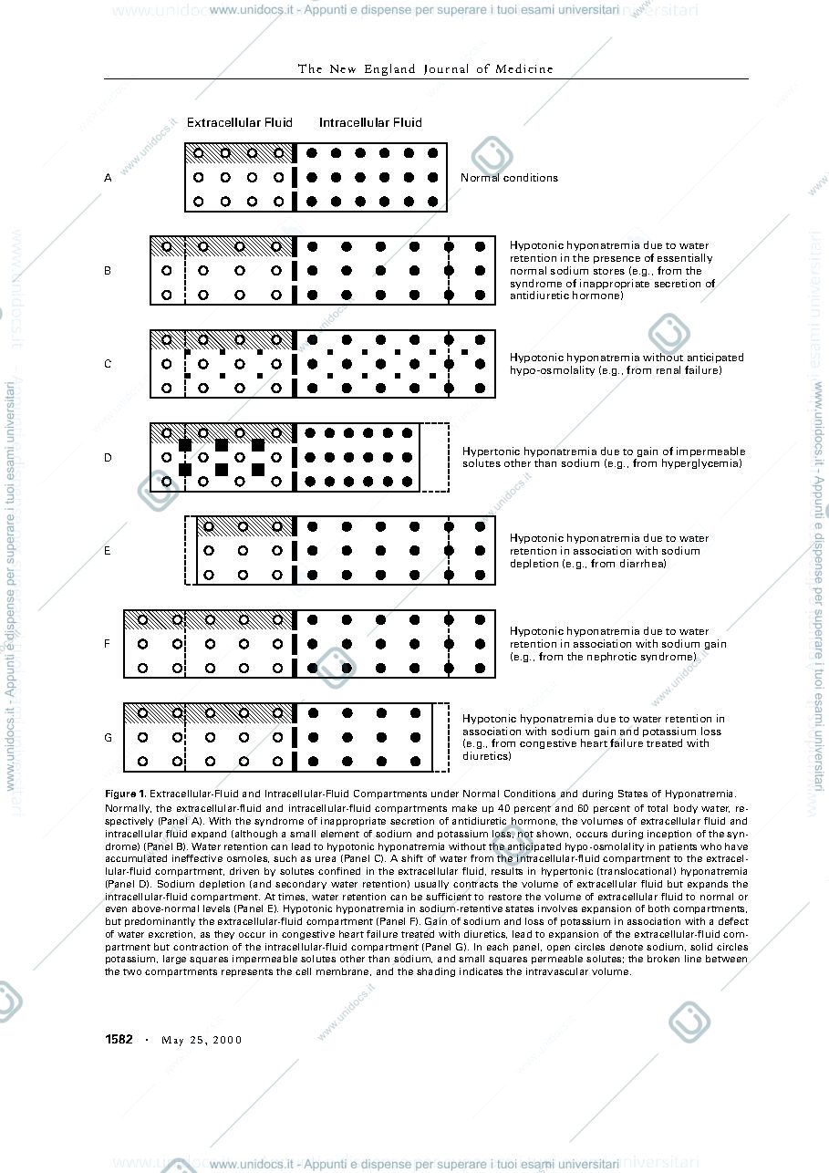 Anteprima pagina 2 — hyponatriemia